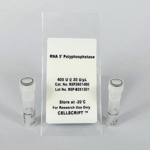 RNA 5’ Polyphosphatase