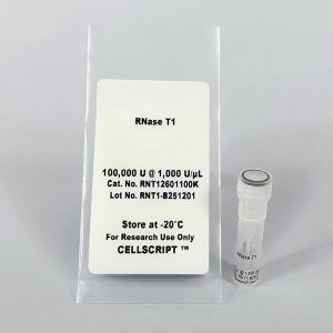 RNase T1