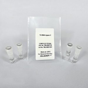 T4 RNA Ligase 2