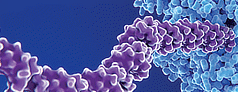 mRNA illustration